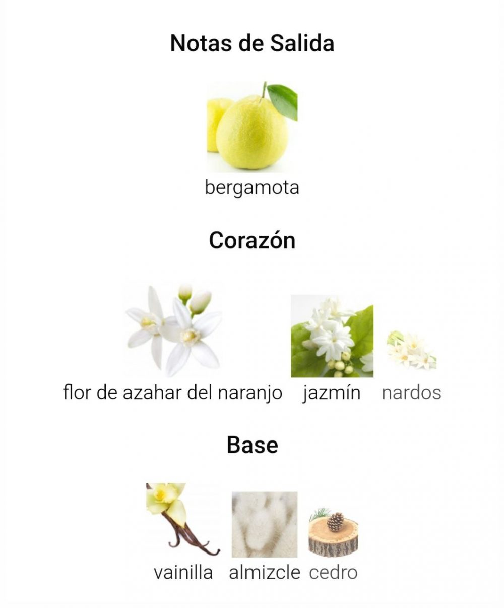 Barez - Imagen 7