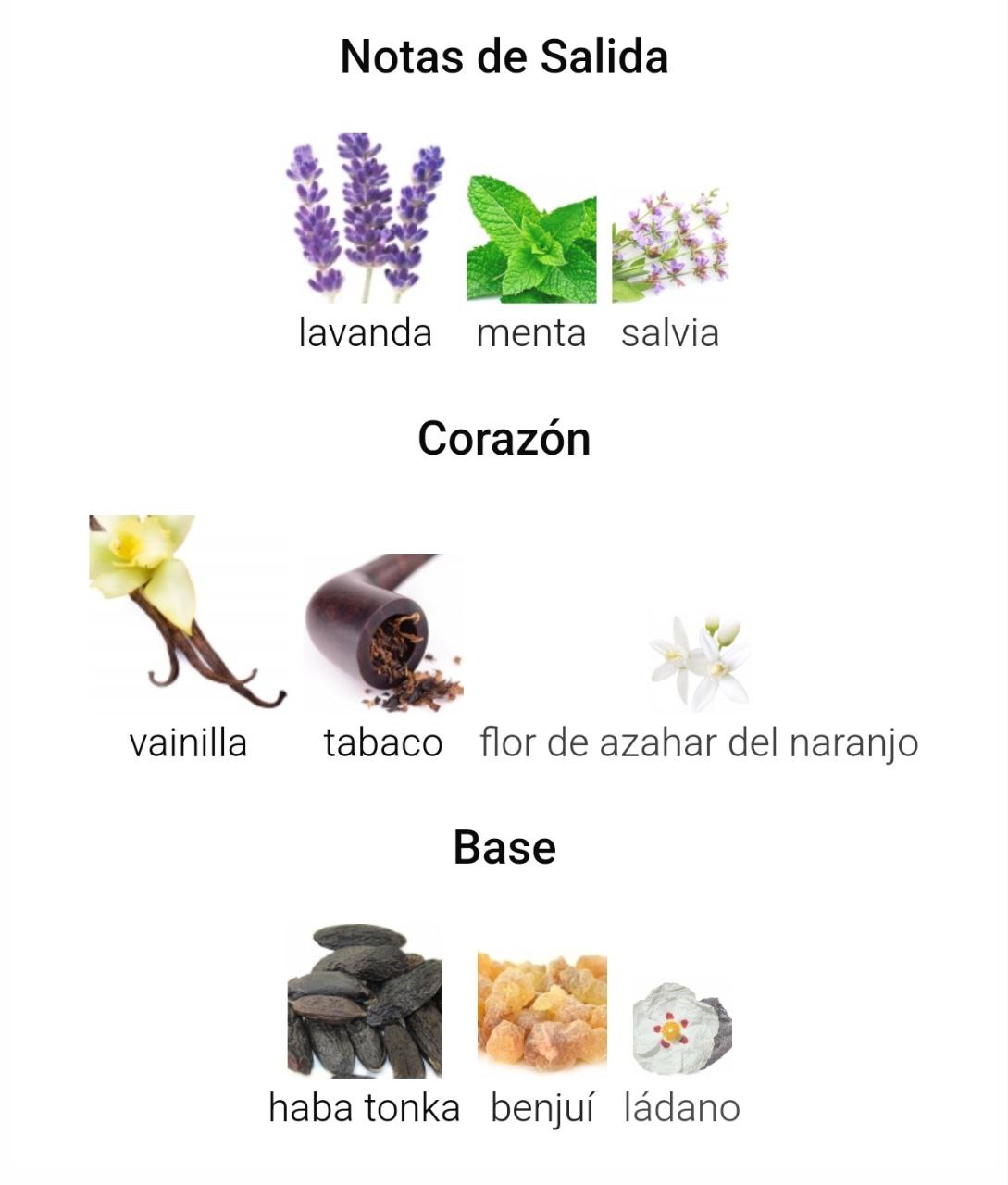 THE KINGDOM - Imagen 4