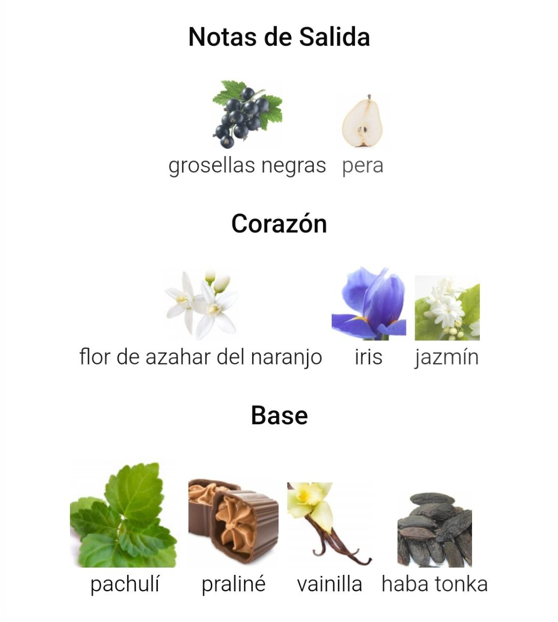 La Vivacité - Imagen 3