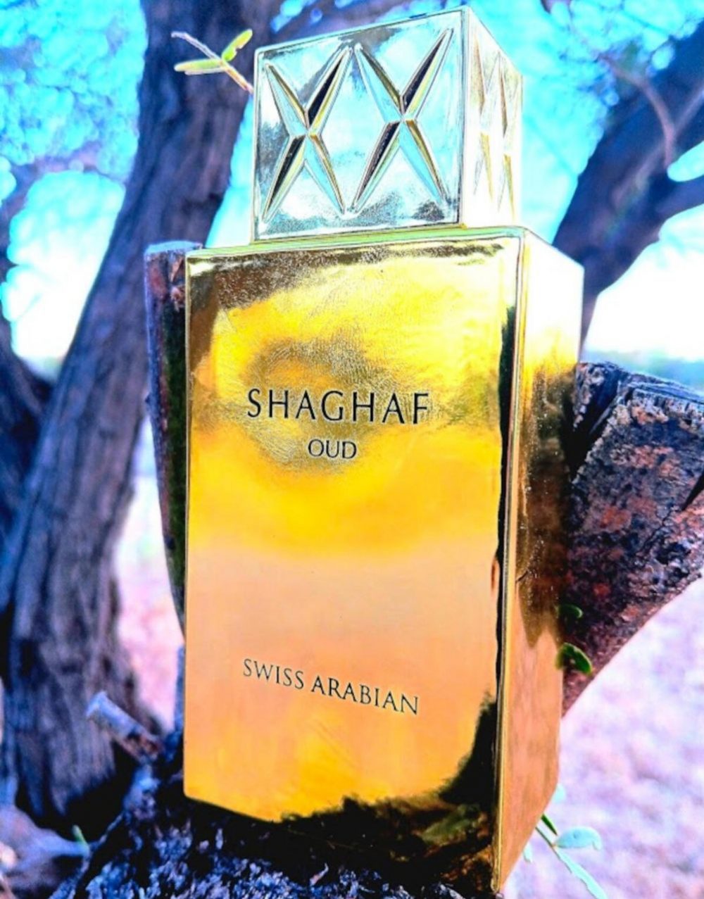 Shaghaf Oud - Imagen 4