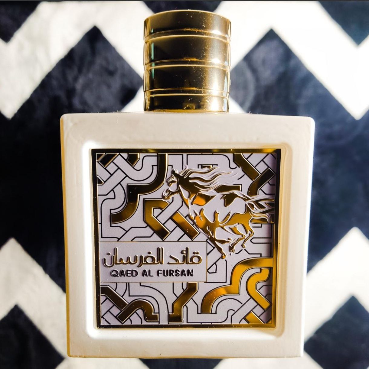 Qaed Al Fursan Unlimited - Imagen 8