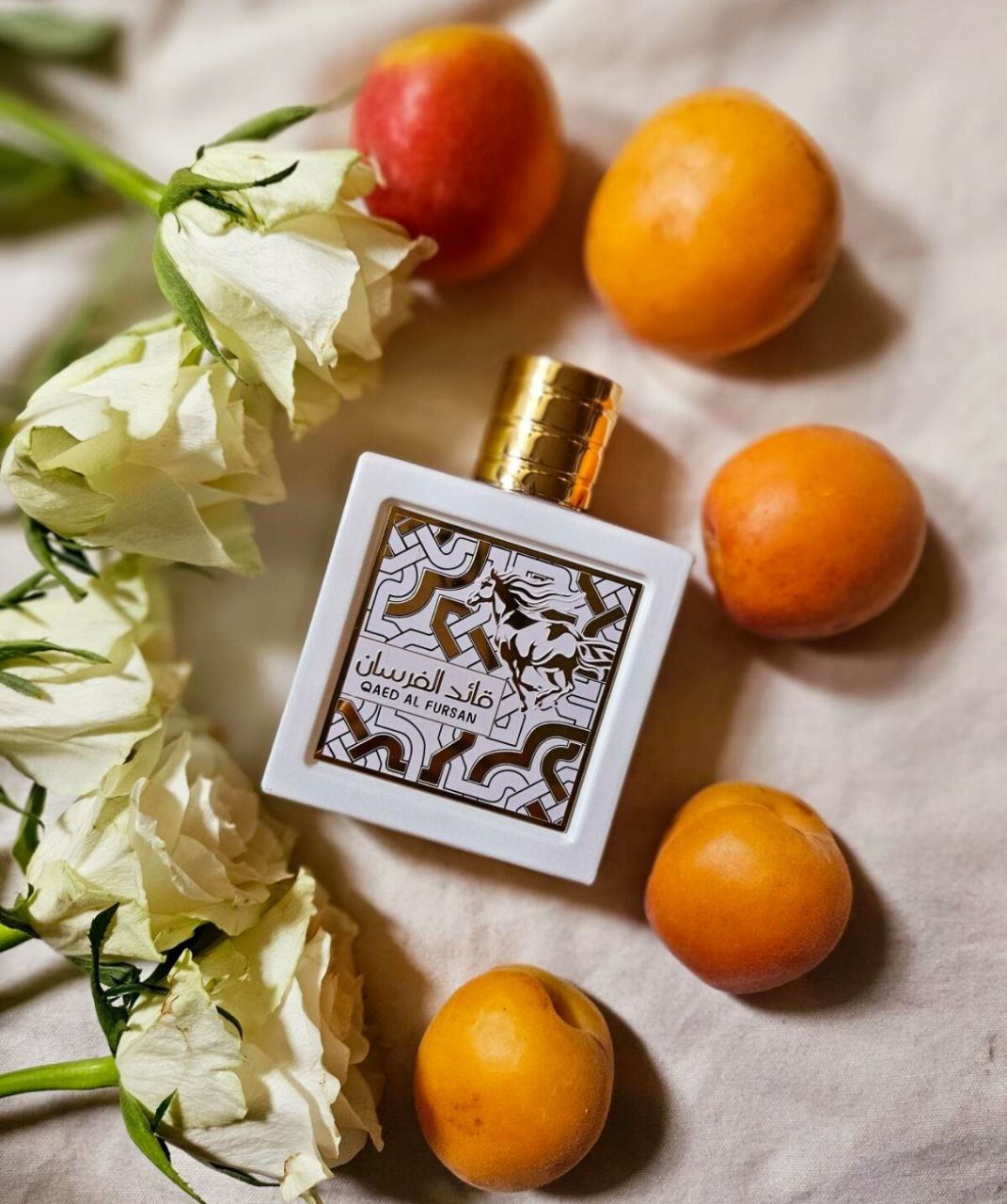 Qaed Al Fursan Unlimited - Imagen 7