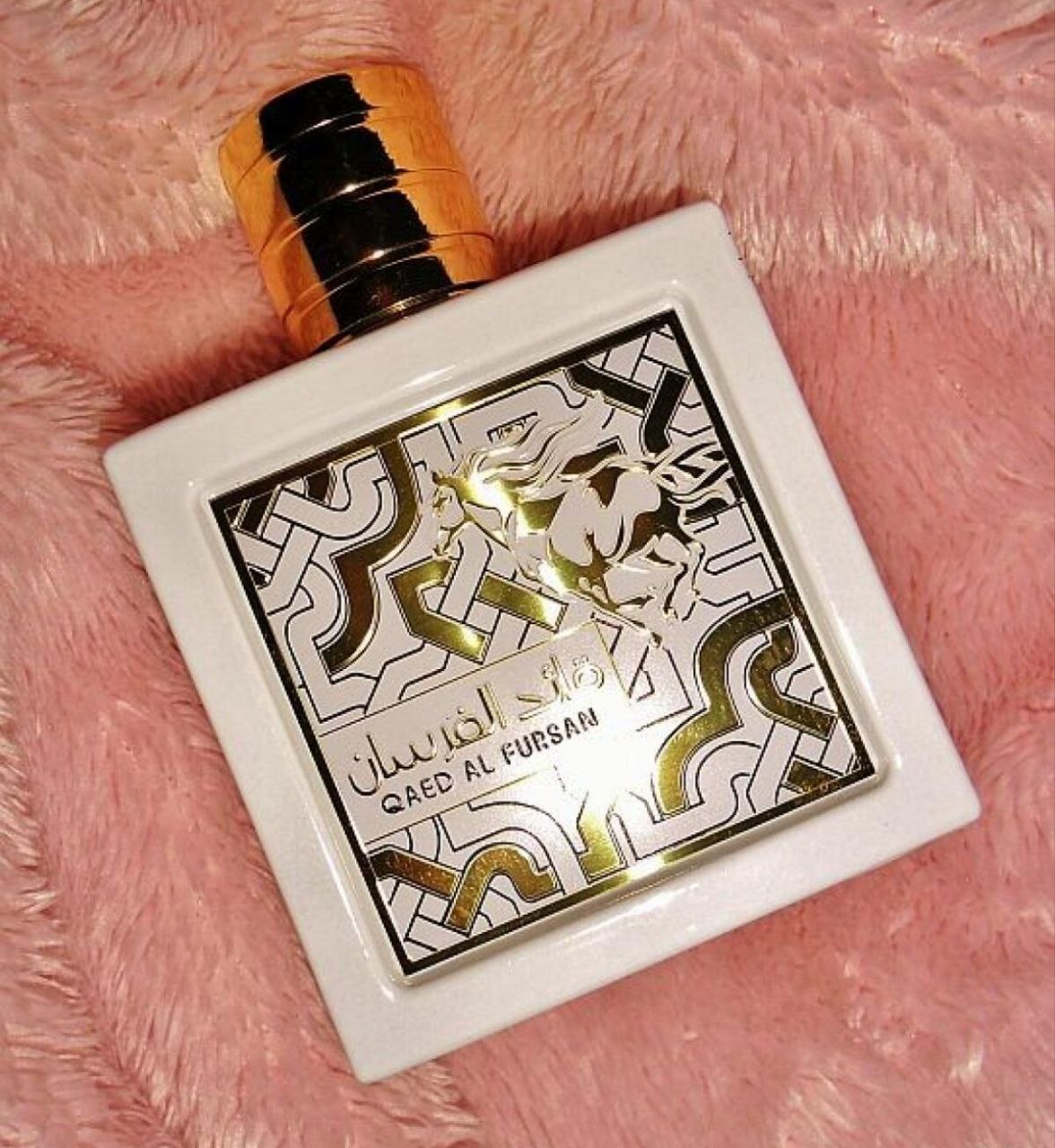 Qaed Al Fursan Unlimited - Imagen 6