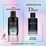 Salvo