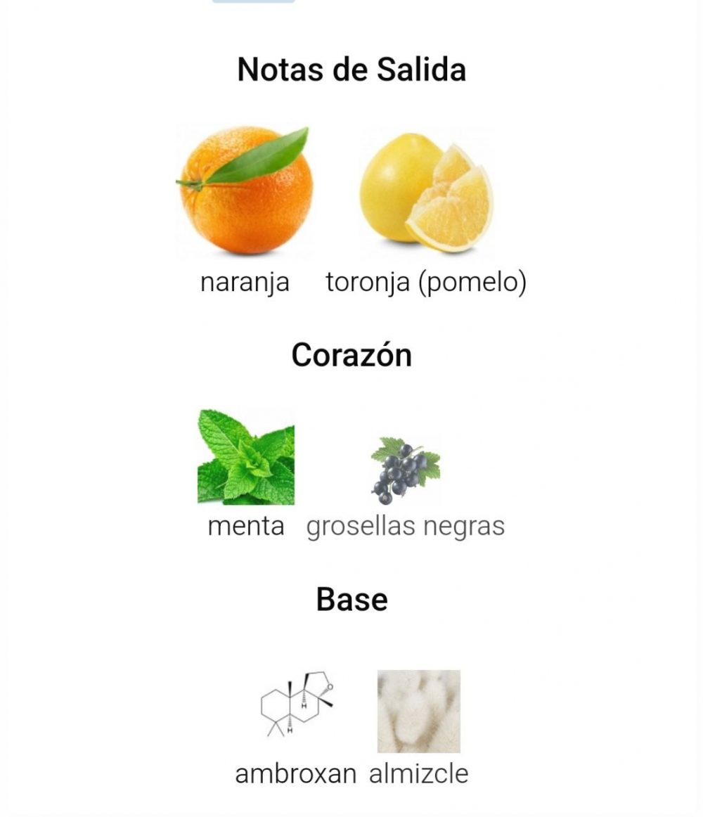 Pinnace - Imagen 4