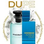 Amber Oud Aqua Dubai