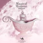 Magical Moment Dream