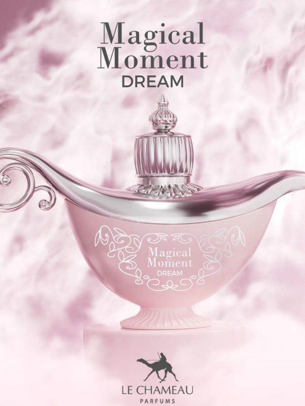 Magical Moment Dream