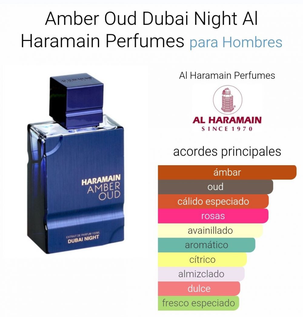 Dubai Night - Imagen 2